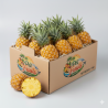 Ananas victoria de la Réunion